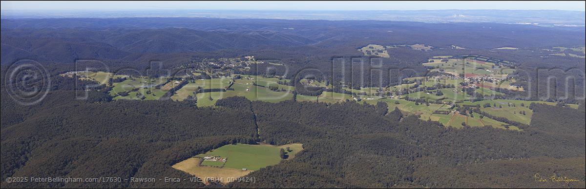 Peter Bellingham Photography Rawson - Erica - VIC (PBH4 00 9424)